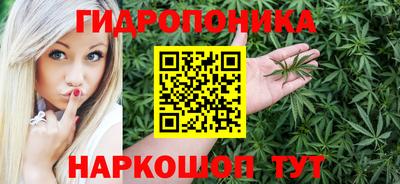 мяу мяу мука Кудымкар