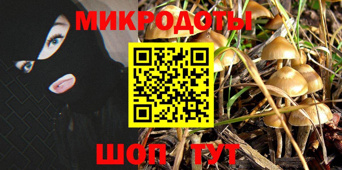 продажа наркотиков  Псилоцибиновые грибы Cubensis  Псилоцибиновые грибы прущие грибы  Вход с VPN  Альметьевск 